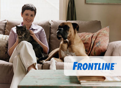 frontline plus
